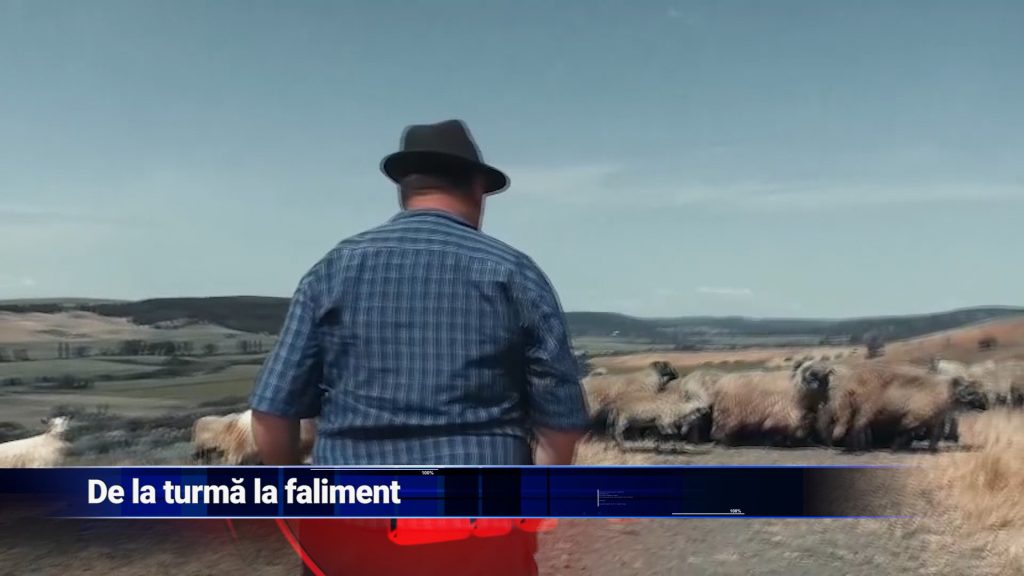 DE LA TURMĂ LA FALIMENT