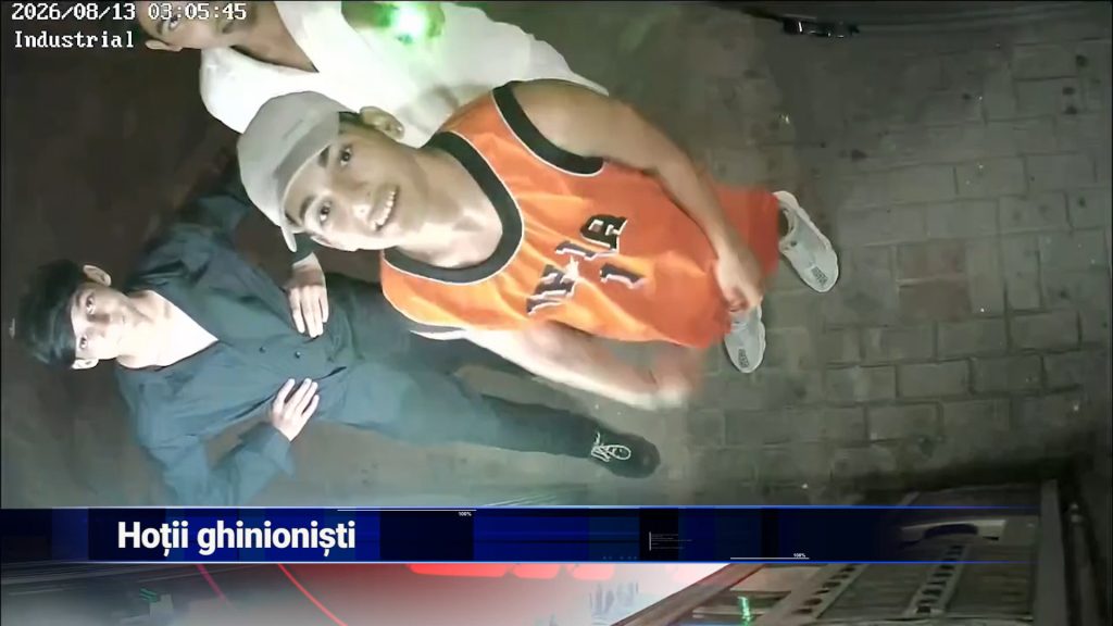 HOŢII GHINIONIŞTI