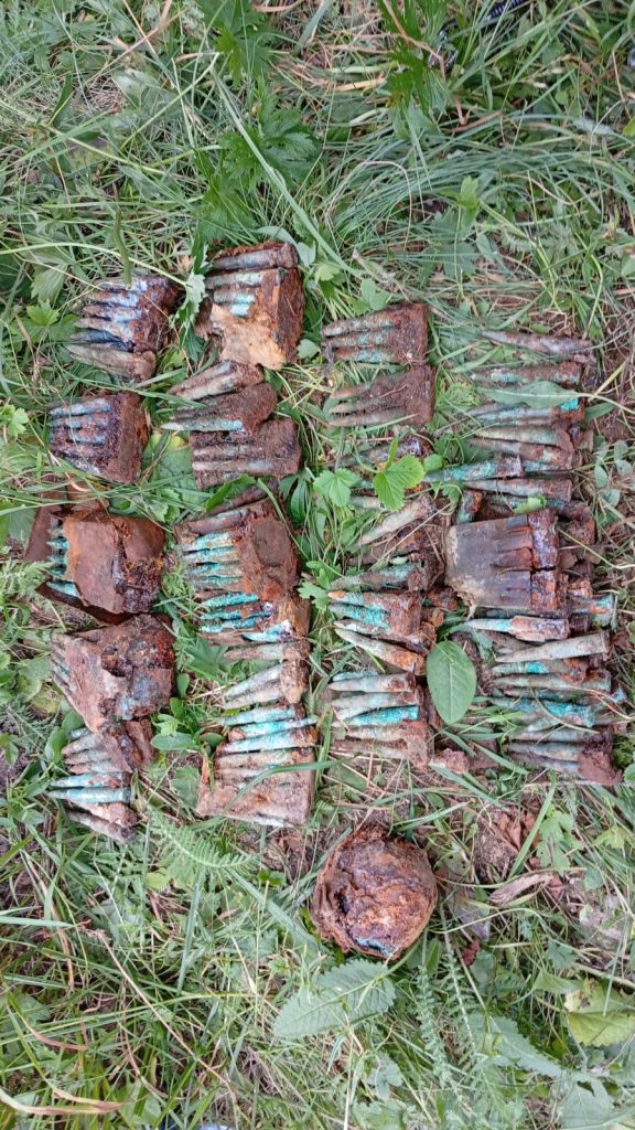 Proiectil, grenade și sute de cartușe, găsite în pădurea de la Balaj