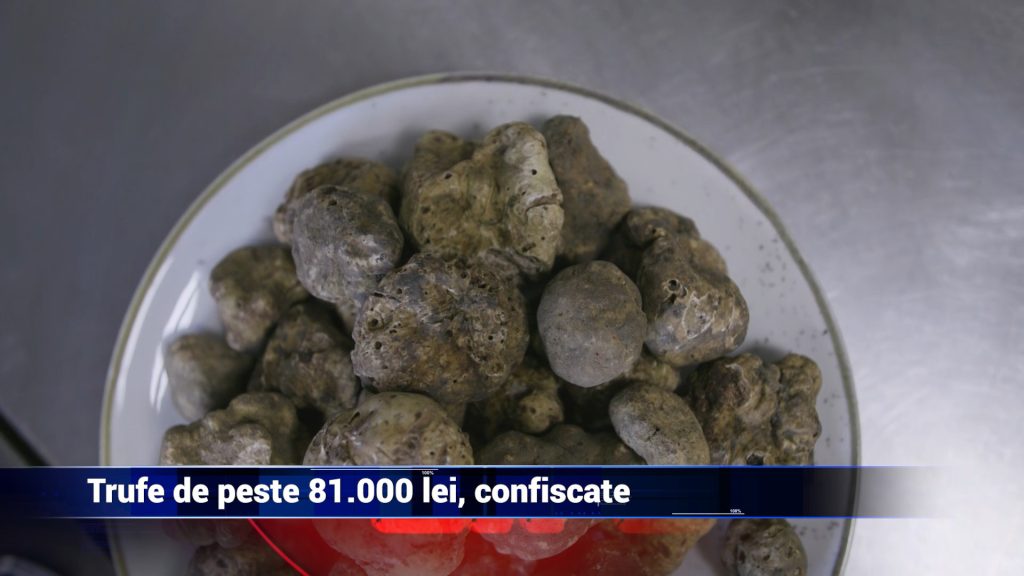 TRUFE DE PESTE 81.000 DE LEI, CONFISCATE