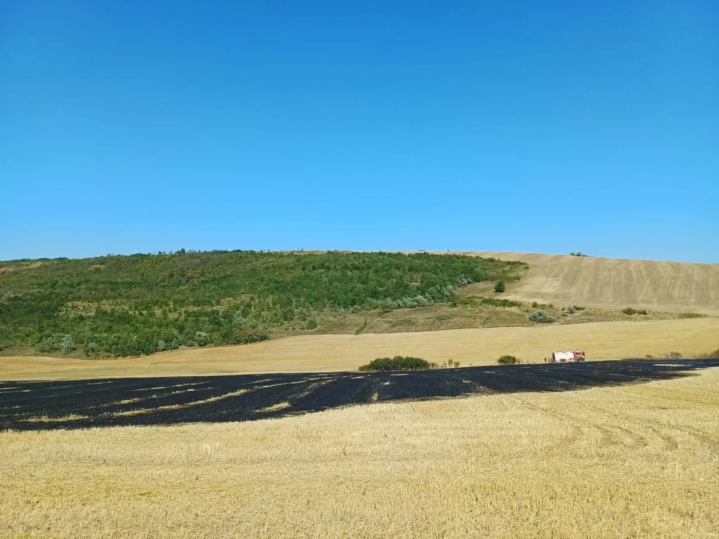 Incendiu de vegetație la Goești: Pompierii au luptat patru ore cu flăcările izbucnite de la un foc nesupravegheat