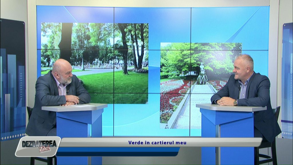 Verde în cartierul meu